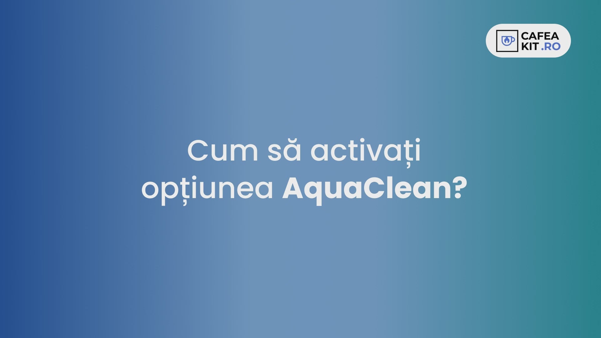 Filtru de apa Philips Saeco AquaClean CA6903/10